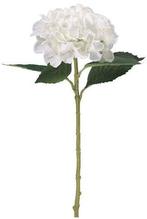 Hortensia Hydrangea Ivoorwit Zijdenbloem 51 cm, Nieuw