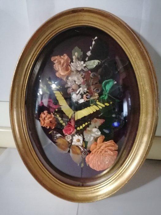 Vlinder Taxidermie wandmontage - Papilio Thoas-Thauria, Verzamelen, Dierenverzamelingen