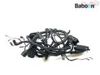 Kabelboom BMW F 800 S (F800S) (7680874), Motoren, Verzenden, Gebruikt