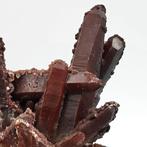 Quartz Bourgogne, crinière en calcedoine, vêtement dauphin, Collections