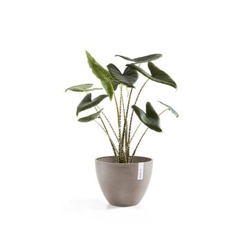 NIEUW - Ecopots Antwerp taupe Ø 40 cm, Verzenden