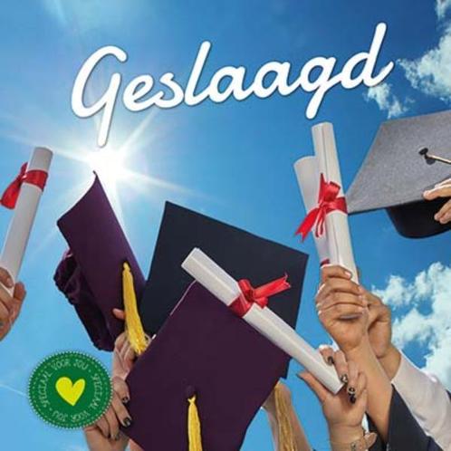 Geslaagd 9789461888006 Gerd De Ley, Boeken, Stripverhalen, Zo goed als nieuw, Verzenden