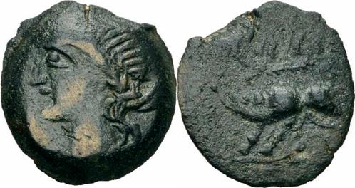 120-70 v Chr Kelten Nemausus Nîmes Provincia Bronze Nama/.., Postzegels en Munten, Munten en Bankbiljetten | Verzamelingen, Verzenden
