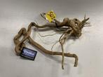 Spiderwood Selected SW2- 46x36x13cm (Spider wood), Dieren en Toebehoren, Ophalen of Verzenden, Nieuw, Plant(en), Steen of Hout