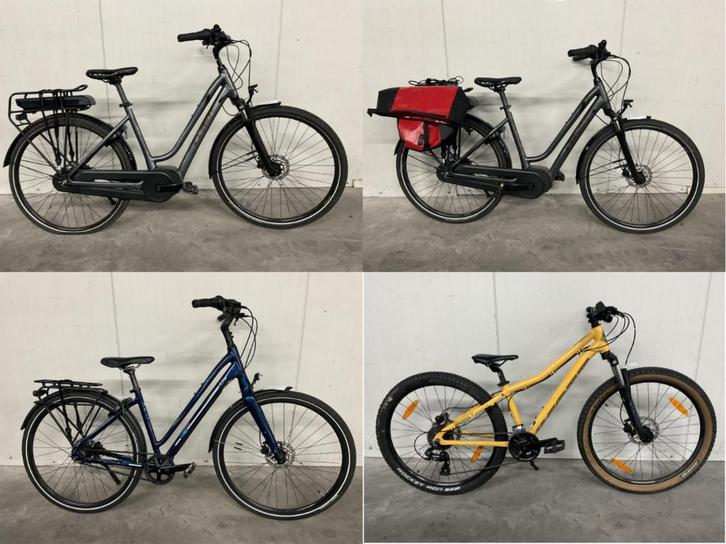 Online veiling: Elektrische- stadsfietsen en mountainbikes, Fietsen en Brommers, Elektrische fietsen, Gebruikt