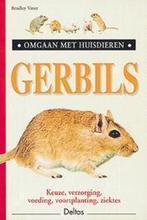 Gerbils / Omgaan met huisdieren 9789024374298 B. Viner, Verzenden, B. Viner