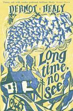 Long Time, No See 9780571210749 Dermot Healy, Boeken, Verzenden, Gelezen, Dermot Healy