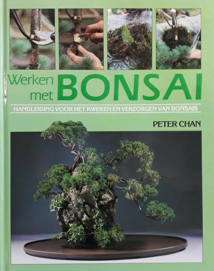 WERKEN MET BONSAI 9789025291099 Chan, Boeken, Hobby en Vrije tijd, Gelezen, Verzenden