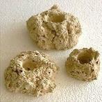 Rifkeramiek Aflegsteen - 5 cm - voor het stekken van koralen, Dieren en Toebehoren, Verzenden, Nieuw