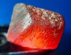 41,9 ct - POKER GEMS - Émeraude naturelle, Rubis, Saphir,, Verzamelen, Mineralen en Fossielen