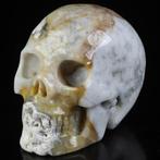 418 g Fossil Coral Skull – Fluch der Tiefe 9,1 x 6,0 x 6,7, Collections