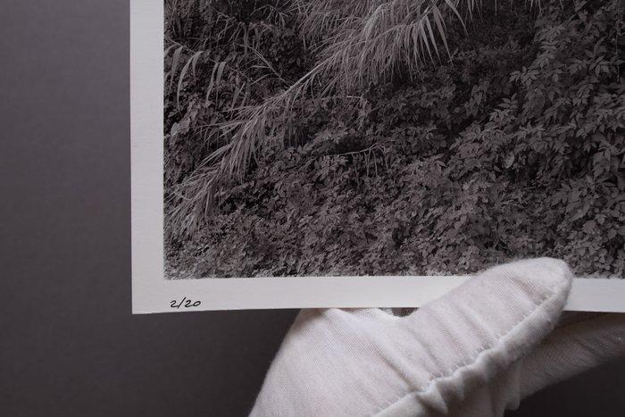 Francesco Mussida - Salgari, Antiek en Kunst, Kunst | Designobjecten