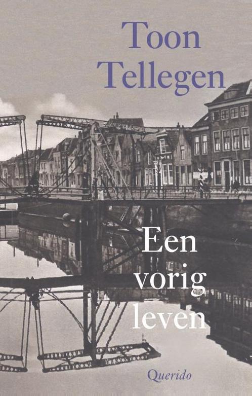 Een vorig leven 9789021458779 Toon Tellegen, Boeken, Romans, Zo goed als nieuw, Verzenden