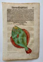 Conrad Gesner - Fischbuch - 1598