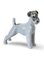 Lomonosov - B. Vorobiev - Beeld, Lomosov Schnauzer Airedale
