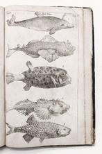 Linnaeus - Systema Naturae - 1748, Antiek en Kunst