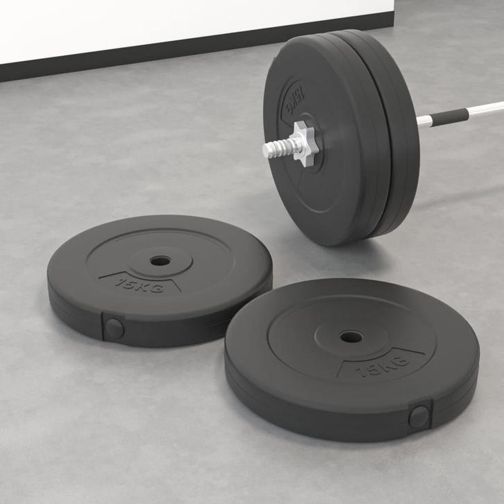 vidaXL Halterschijven 2 stuks 30 kg beton, Sport en Fitness, Fitnessmaterialen, Nieuw, Verzenden