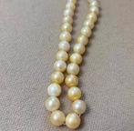 Sans prix de réserve - Collier Argent Perle