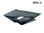 Buddypaneel Links Yamaha MT 03 2017-2019 (MT03 MT-03 RH125, Motoren, Verzenden, Gebruikt