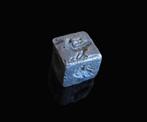 Romain antique Argent Dé Coquille Rare avec Aigle, Animaux -