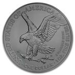 Verenigde Staten. 1 Dollar 2024 1 oz American Silver Eagle