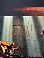 James Bond 007: Casino Royale, Mads Mikkelsen as Le, Nieuw