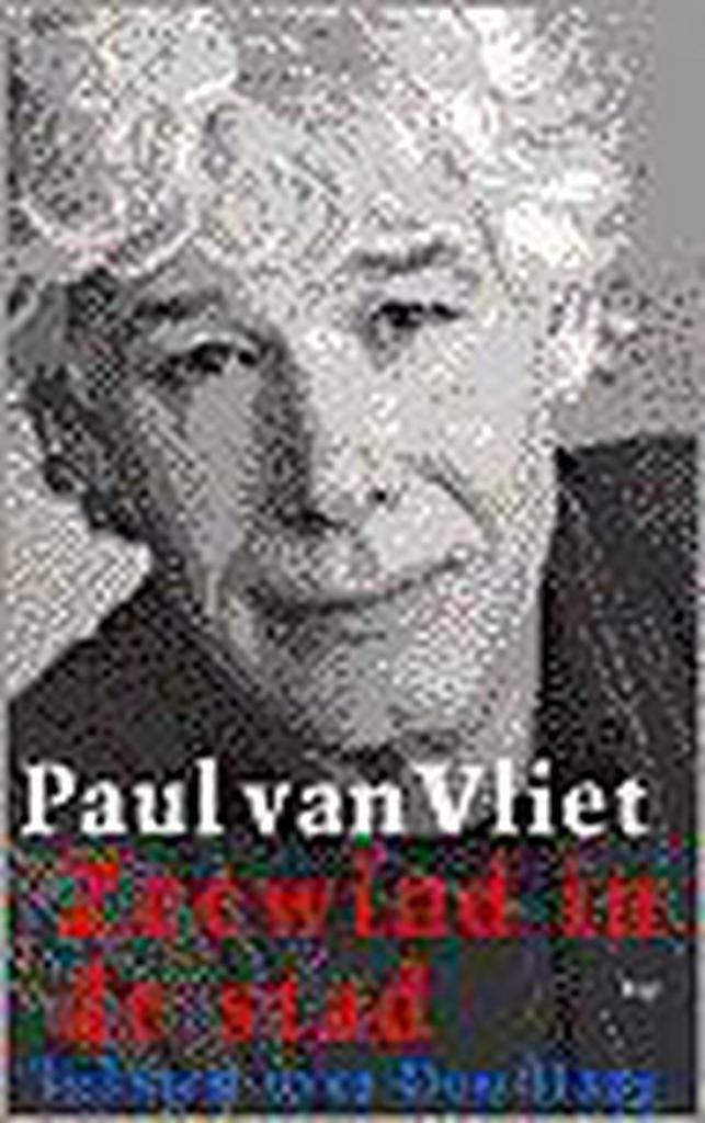 Zeewind in de stad 9789060058398 P. van Vliet, Boeken, Romans, Gelezen, Verzenden