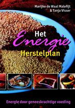 Het Energie Herstelplan 9789063787691, Livres, M. de Waal, T. Visser, Verzenden