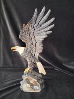 Themacollectie - Een verzameling van Amerikaanse zeearend