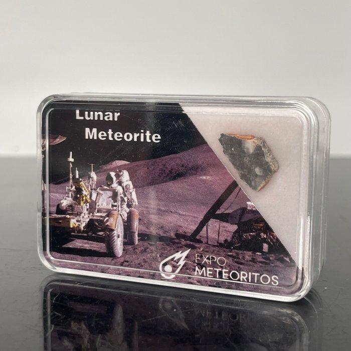 MOON meteoriet NWA 13739 Lunar, GEEN VEILINGKOSTEN!!!! - 0.4, Verzamelen, Mineralen en Fossielen