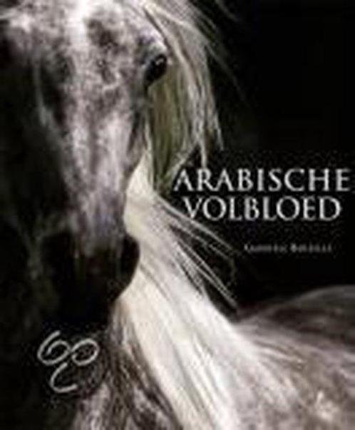 De Arabische volbloed 9782809902112 Gabrielle Boiselle, Boeken, Overige Boeken, Gelezen, Verzenden