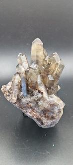 Rookkwarts Vrije vorm - Hoogte: 12.9 cm - Breedte: 9.2 cm-