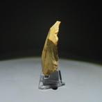 Neolithisch Vuursteen Flint Tool. Michelsberg-cultuur, Antiek en Kunst