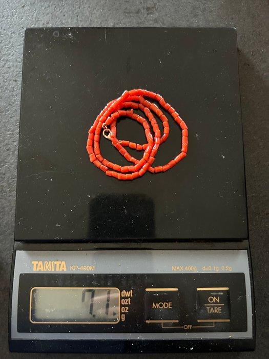 Bloedkoraal Koraal - Corallium rubrum (Zonder Minimumprijs), Antiek en Kunst, Curiosa en Brocante