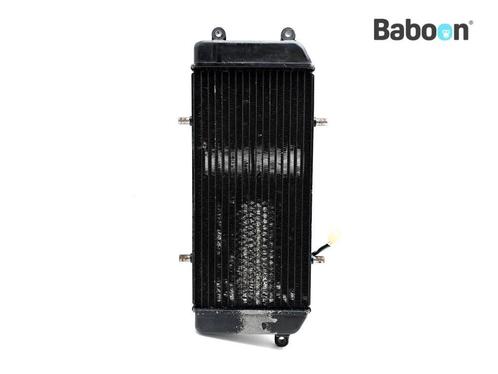 Radiateur Suzuki VZ 800 1997-2004 Marauder (VZ800), Motoren, Onderdelen | Suzuki, Gebruikt, Verzenden