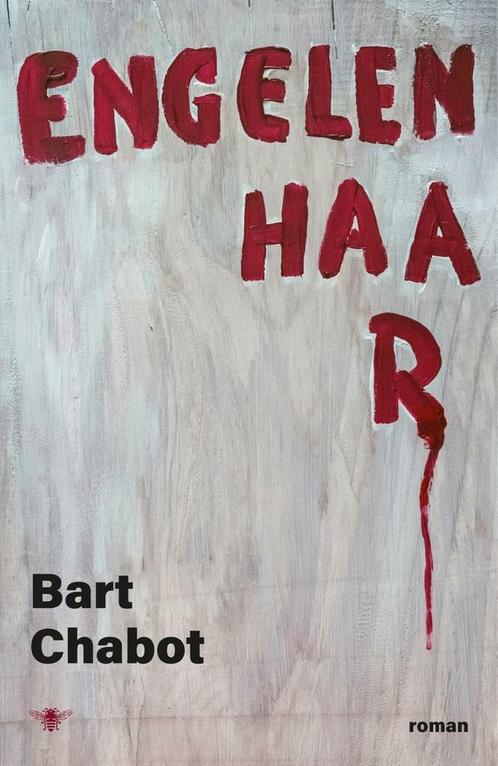 Engelenhaar 9789403102924 Bart Chabot, Boeken, Overige Boeken, Gelezen, Verzenden