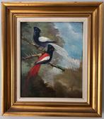 Franse school (XX) - Coppia di uccelli esotici su ramo