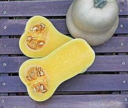 JWS 6823 F1 Bio Butternut Flespompoen 10000 zaden, Hobby en Vrije tijd, Knutselen, Nieuw