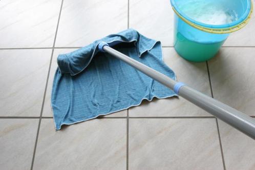 Probiotische  Vloer Reiniger 1 liter, Huis en Inrichting, Schoonmaakartikelen, Ophalen of Verzenden