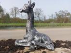 Beeld, lying silver bronze baby giraffe - 57 cm - polyresin