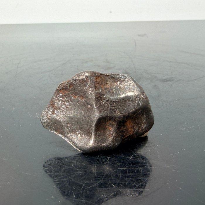 Sikhote-Alin meteoriet Uitstekende kwaliteit, AAA+ Metalen, Collections, Minéraux & Fossiles