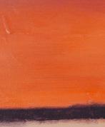 Sebastiano Riva - orange XL
