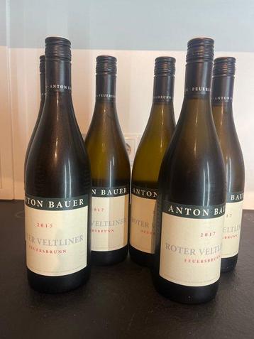 2017 Anton Bauer, Roter Veltliner - Wagram - 6 Flessen (0.75