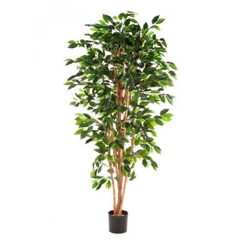 Kunstplant Ficus Nitida 120 cm, Maison & Meubles, Plantes d'intérieur, Envoi