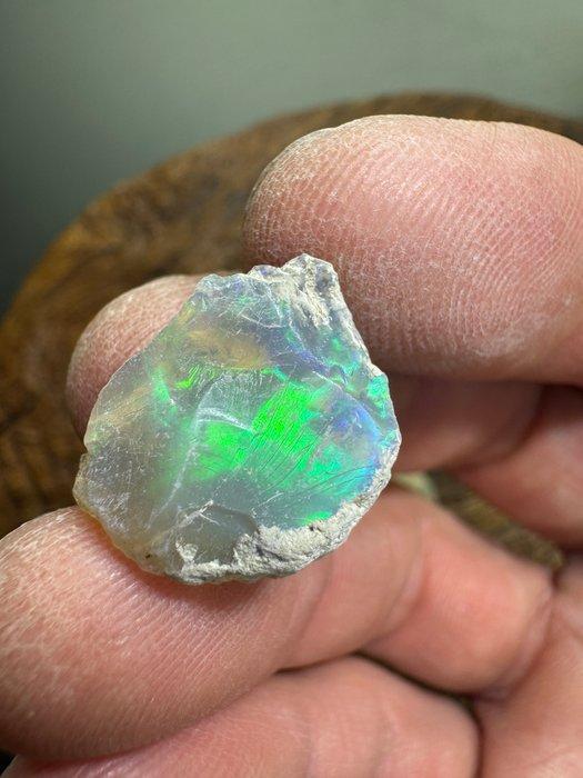 Doos met 8 natuurlijke ruwe opalen uit Ethiopië. 133,85, Verzamelen, Mineralen en Fossielen