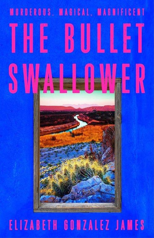 The Bullet Swallower 9781399709071 James, Boeken, Taal | Engels, Gelezen, Verzenden