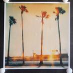 Stefanie Schneider - Palm Tree Restaurant (Stranger than, Antiek en Kunst