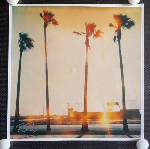 Stefanie Schneider - Palm Tree Restaurant (Stranger than, Antiek en Kunst, Kunst | Schilderijen | Modern