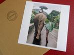 Steve McCurry (1950–) - Man walks behind an elephant, Antiek en Kunst