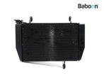 Radiateur Ducati Multistrada 1200 S Touring 2010-2012, Motoren, Onderdelen | Ducati, Verzenden, Gebruikt